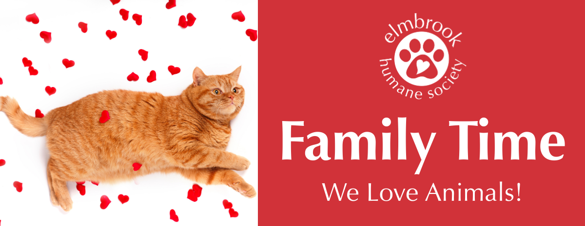 Family Time - We Love Animals